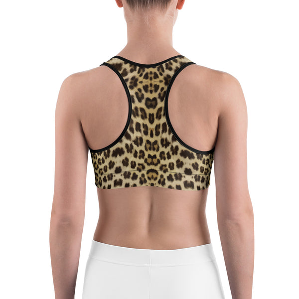 Wild Cat Sports bra