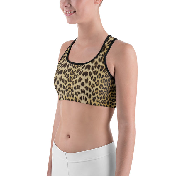 Wild Cat Sports bra